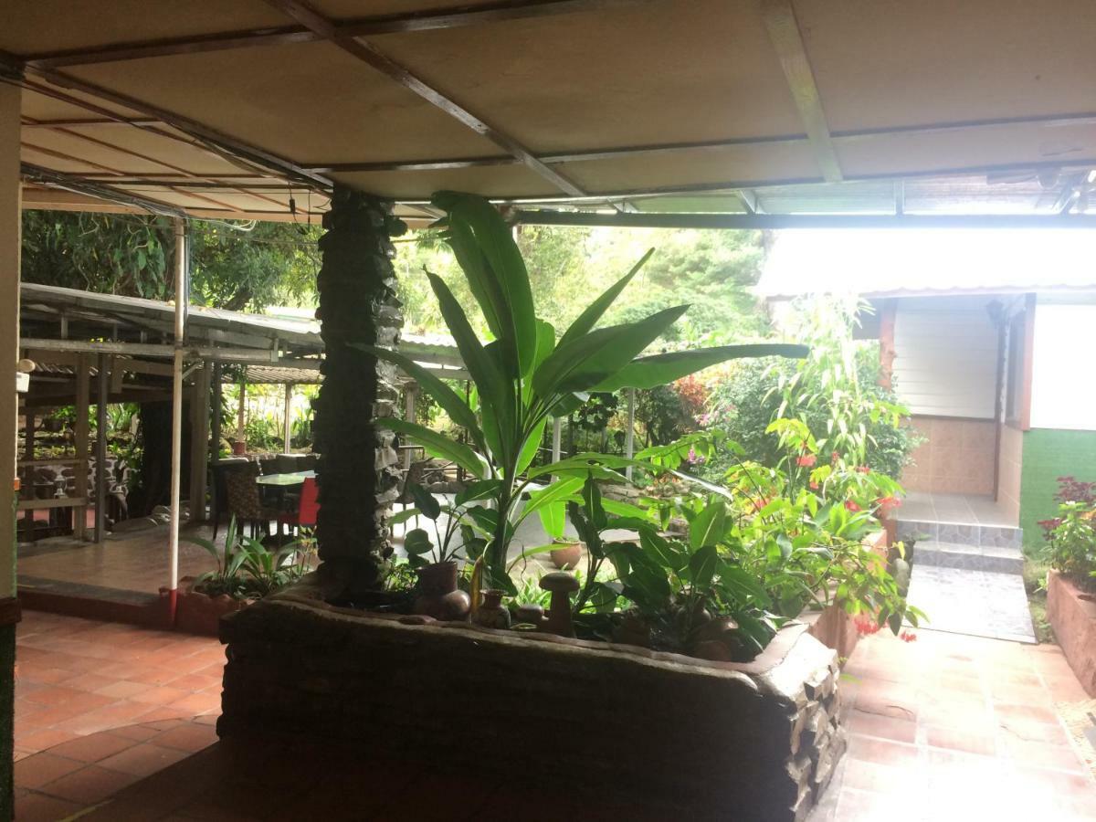 Socialtel Boquete Otel Dış mekan fotoğraf